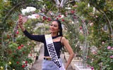 Dàn mỹ nhân Hoa hậu Du lịch thế giới khoe sắc tại Festival hoa Mê Linh