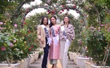 Dàn mỹ nhân Hoa hậu Du lịch thế giới khoe sắc tại Festival hoa Mê Linh