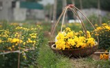 Những hình ảnh đẹp về làng hoa Khương Hạ