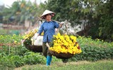 Những hình ảnh đẹp về làng hoa Khương Hạ