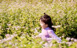 Ngắm cánh đồng tam giác mạch đẹp như tranh ở Hà Nội 