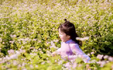 Ngắm cánh đồng tam giác mạch đẹp như tranh ở Hà Nội 