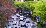 Hà Nội đẹp ngỡ ngàng dưới những hàng cây