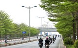 Hà Nội đẹp ngỡ ngàng dưới những hàng cây