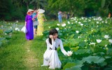 Xúc động với bộ ảnh cô gái bị ung thư bên đầm sen trắng