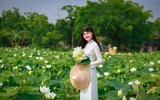 Xúc động với bộ ảnh cô gái bị ung thư bên đầm sen trắng