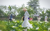 Xúc động với bộ ảnh cô gái bị ung thư bên đầm sen trắng