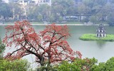 Triển lãm ảnh kỷ niệm 98 năm Ngày Báo chí cách mạng Việt Nam