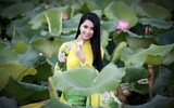 Đắm say mùa sen hồng ở Hà Nội 