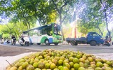 Đón mùa thu Hà Nội về trên con phố Phan Đình Phùng