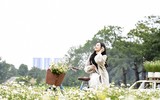 Say đắm vẻ đẹp thiếu nữ Hà Thành bên vườn cúc họa mi đầu mùa