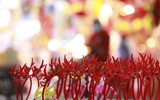 Không khí Giáng sinh nhộn nhịp trên phố Hàng Mã