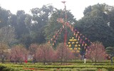 Người dân Thủ đô đến Hoàng thành Thăng Long tận hưởng không khí ngày xuân
