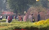 Người dân Thủ đô đến Hoàng thành Thăng Long tận hưởng không khí ngày xuân
