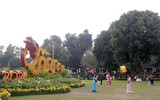 Người dân Thủ đô đến Hoàng thành Thăng Long tận hưởng không khí ngày xuân