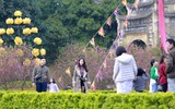 Người dân Thủ đô đến Hoàng thành Thăng Long tận hưởng không khí ngày xuân