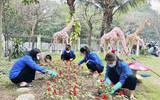 Tuổi trẻ Thủ đô chung tay với các hoạt động tình nguyện hưởng ứng Tháng Thanh niên