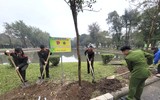 Tuổi trẻ Thủ đô chung tay với các hoạt động tình nguyện hưởng ứng Tháng Thanh niên