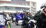 Ngắm những 