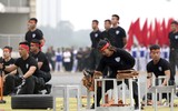 Ngắm những 