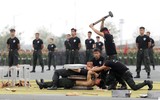 Ngắm những 