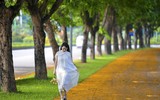 Hà Nội đẹp dịu dàng mùa hoa giáng hương
