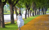 Hà Nội đẹp dịu dàng mùa hoa giáng hương