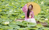 Ngắm đầm sen trắng tinh khôi khoe sắc ở nội thành Hà Nội