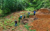 Hình ảnh kể chuyện công an xã ở Hà Nội lên nương vận động đồng bào giao nộp vũ khí 