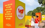 Hà Nội rực rỡ chào mừng 80 năm Quốc khánh 