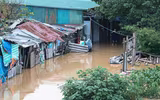 Cận cảnh những ngôi nhà ở bãi giữa sông Hồng ngập sát nóc do nước lũ