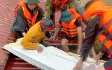Lực lượng Công an nỗ lực giúp dân, gia cố đê sông Cầu ứng phó mưa lũ