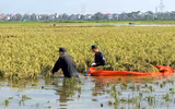 Công an Hà Nội ngâm mình trong ‘biển nước’, đưa người dân đến vùng an toàn