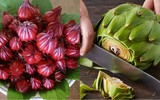 Loài hoa đẹp mê ly và cũng là thảo dược quý có trong các bài thuốc đông y