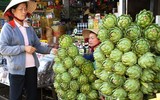 Loài hoa đẹp mê ly và cũng là thảo dược quý có trong các bài thuốc đông y
