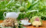 Loài hoa đẹp mê ly và cũng là thảo dược quý có trong các bài thuốc đông y