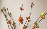  Chiêm ngưỡng những cành, quả được trang trí rất bắt mắt trong nhà
