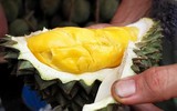Điểm tên những loại quả đắt đỏ nhất thế giới 