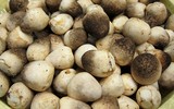 Ăn gì để ngăn tóc bạc sớm?