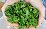 Ăn gì để ngăn tóc bạc sớm?