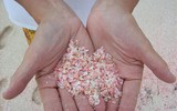 Bãi biển kỳ lạ nhất trên thế giới: Nằm giữa đồng cỏ, phát ra ánh sáng