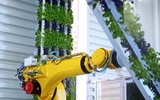 Bên trong trang trại lớn nhất thế giới
