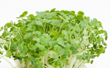 Những lợi ích thần kỳ của loại rau tốt nhất thế giới
