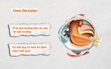 Mống mắt con người có gì đặc biệt? 