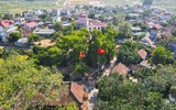 Giai thoại lịch sử về cây được vua phong là “Quốc chúa đô mộc Dã Đại Vương” 