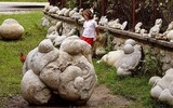 Bí ẩn những tảng đá biết 