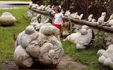 Bí ẩn những tảng đá biết 