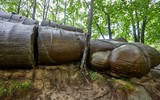 Bí ẩn những tảng đá biết 