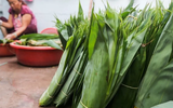 Biến lá cây thành tiền, người dân thu nhập ổn định