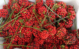 Loại hạt quý hiếm và đắt đỏ nhất Việt Nam, giá 240 triệu đồng/kg